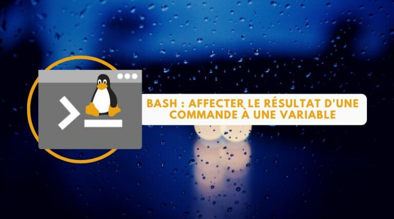 bash-affecter-le-r-sultat-d-une-commande-une-variable