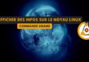 tuto linux afficher version noyau