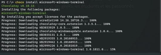 chocolatey install windows terminal