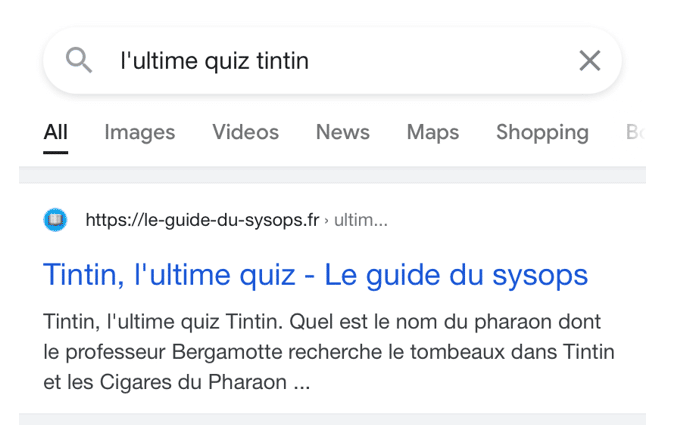 Recherche Google avant redirection d'un domaine