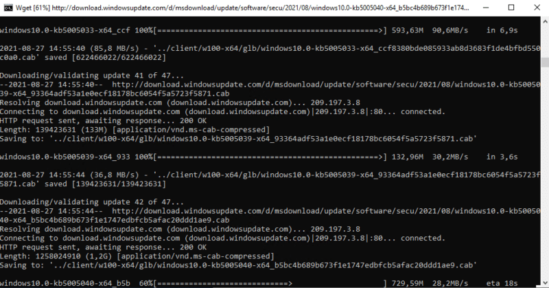 Téléchargement des mises à jour avec WSUS Offline Update