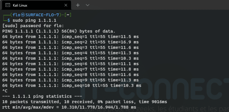 Le Ping Pour Les D Butants Protocole Icmp