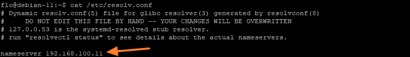 Debian 11 DNS