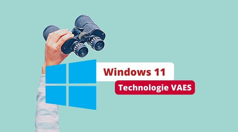 Windows 11 - Bug VAES - Perte des données