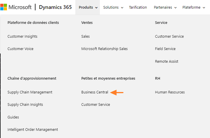 Microsoft Dynamics 365 Business Central