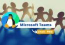 Microsoft Teams Linux PWA