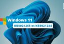 Windows 11 KB5021255 et KB5021234 - Décembre 2022