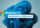 Windows 11 KB5022303 et KB5022287