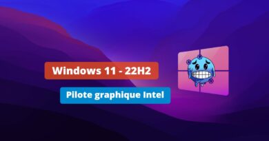 Windows 11 22H2 - Bug pilote graphique Intel 2023