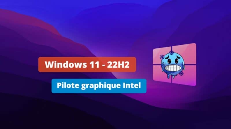 Windows 11 22H2 - Bug pilote graphique Intel 2023