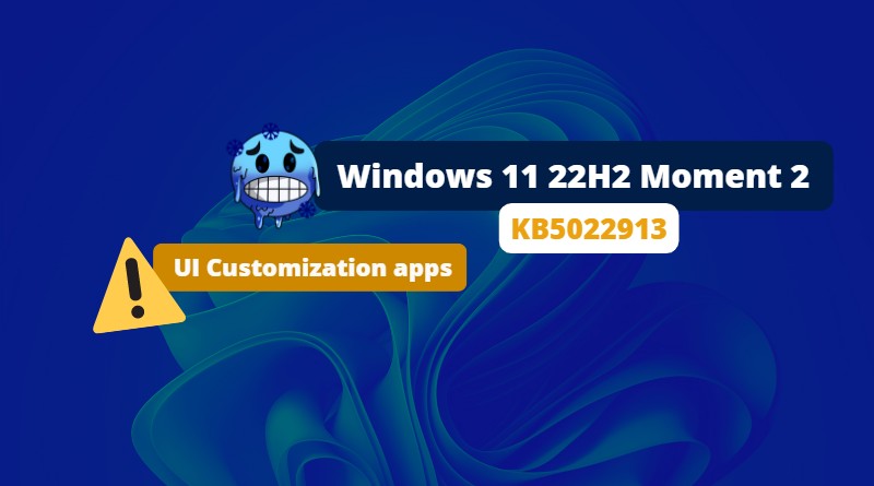 Windows 11 22H2 Moment 2 - Problème UI Customization apps