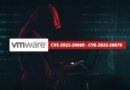 VMware - CVE-2023-20869 - CVE-2023-20870