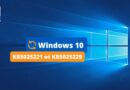 Windows 10 - KB5025221 et KB5025229