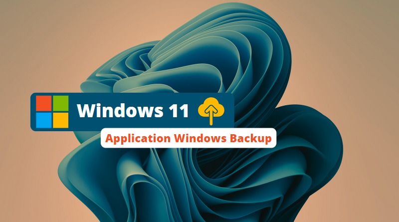 Windows 11 - Application Windows Backup