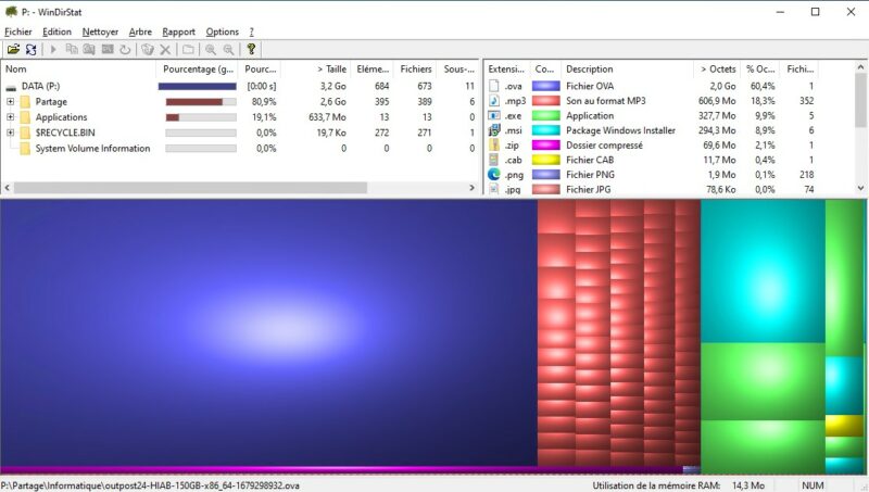 Analyse WinDirStat - Exemple