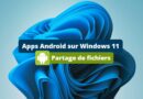 Apps Android sur Windows 11 - Partage de fichiers