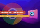 Windows 11 - KB5027231 - Cisco et WatchGuard bloquent Google Chrome