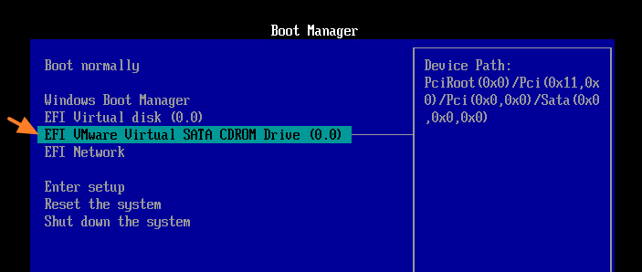 Boot menu VMware ESXi VM