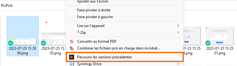 Synology BeeDrive - Versions précédentes