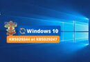 Windows 10 - KB5029244 et KB5029247