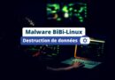 Malware BiBi-Linux destruction de données Israël