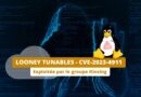 Looney Tunables - CVE-2023-4911 - Exploitation Kinsing