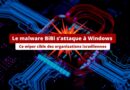 Malware Bibi destruction données Windows