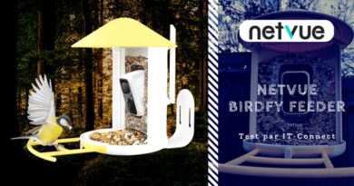 Test Netvue Birdfy Feeder