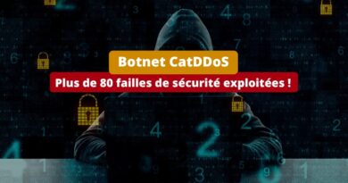 Botnet CatDDoS - Plus de 80 failles de sécurité exploitées