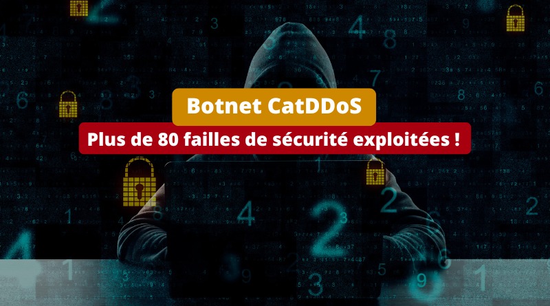 Botnet CatDDoS - Plus de 80 failles de sécurité exploitées