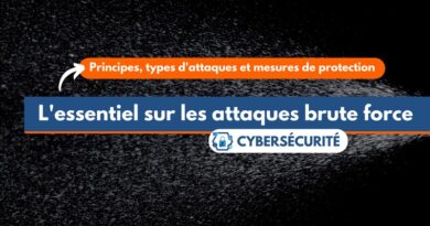 Essentiel sur les attaques brute force