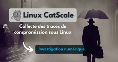 tuto Linux CatScale - Collecter les traces de compromission d’un système Linux