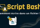 Script Bash écrire dans un fichier