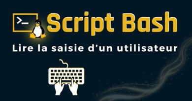 Script Bash saisie utilisateur