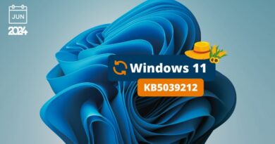 Windows 11 KB5039212