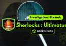 Investiguer sur la compromission d’un site WordPress – Le cas du Sherlocks Ultimatum d’Hack the Box