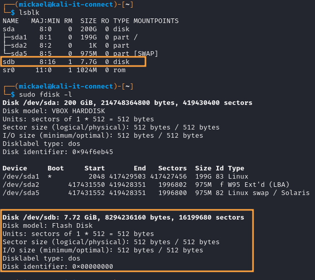 Identification de la clé USB à chiffrer avec "lsblk" et "fdisk".