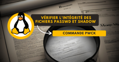 Vérifier l'intégrité des fichiers passwd et shadow avec pwck sous Linux