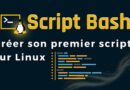 tuto introduction script bash sous Linux