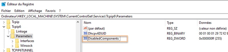 Clé de Registre - Désactivation IPv6