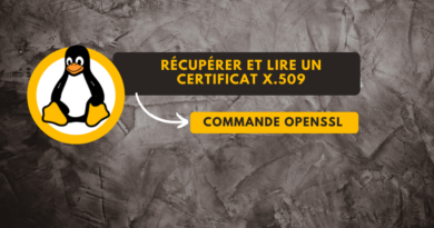 Récupérer et lire le contenu d’un certificat x.509 (TLS) via la commande OpenSSL