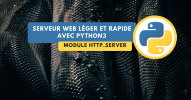 Python créer serveur web en CLI