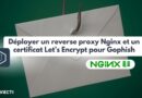 Gophish reverse proxy nginx certificat TLS