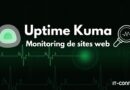 Tuto Uptime Kuma - Monitoring de sites web