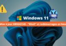 Windows 11 KB5043145 problème démarrage