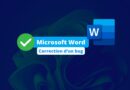 Microsoft Word supprime les fichiers - Bug résolu