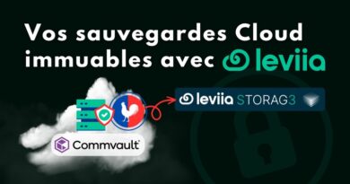 Sauvegarde cloud : pourquoi c’est important et comme le faire avec Leviia ?