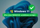 Windows 11 KB5043145 - Problèmes corrigés