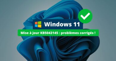 Windows 11 KB5043145 - Problèmes corrigés