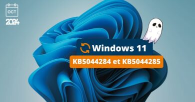 Windows 11 KB5044284 et KB5044285